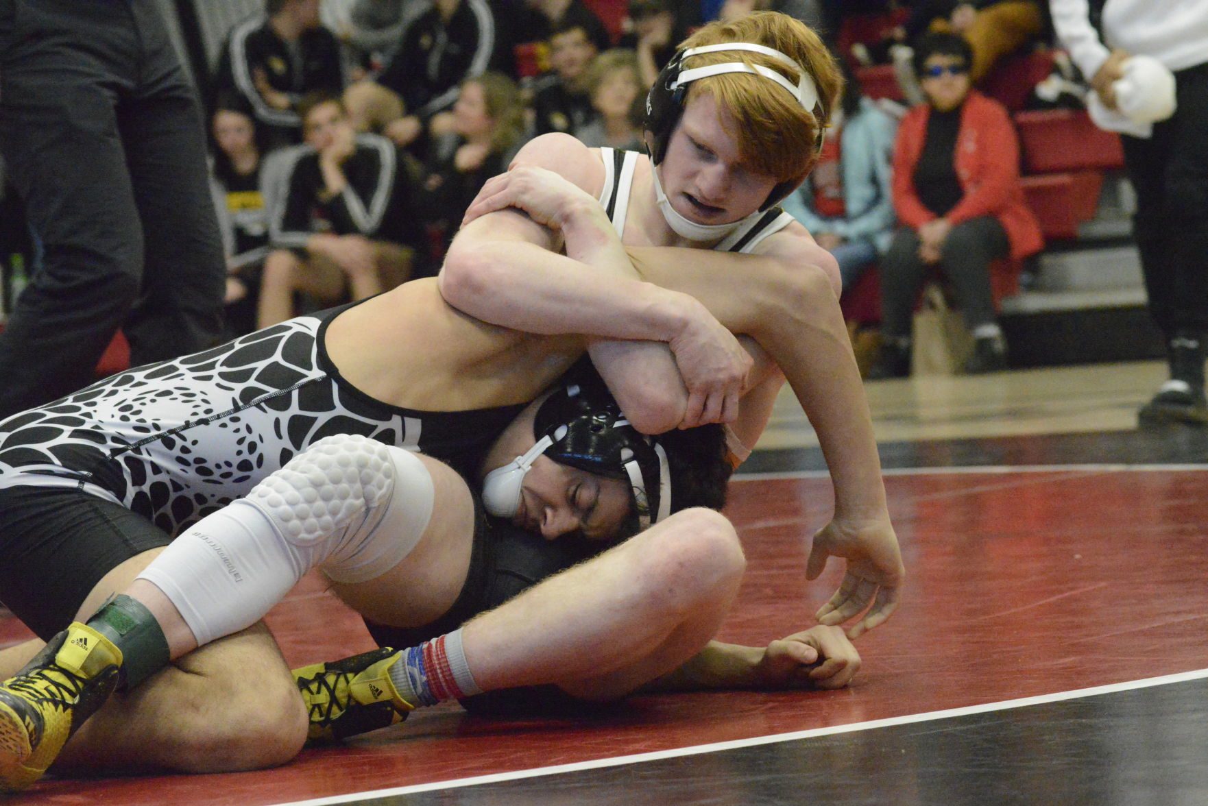 iowa sect 2a wr 1218.JPG